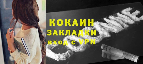 PSILOCYBIN Горняк