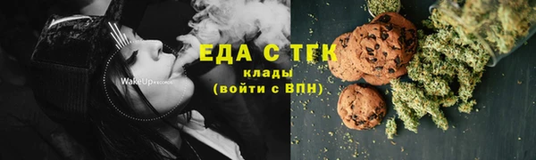 PSILOCYBIN Горняк