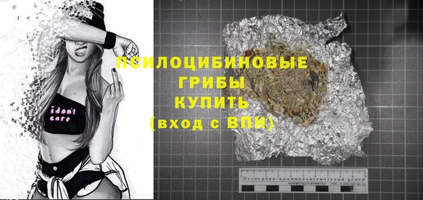 PSILOCYBIN Горняк