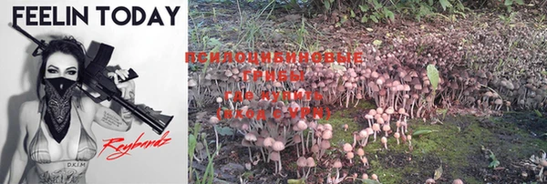 PSILOCYBIN Горняк