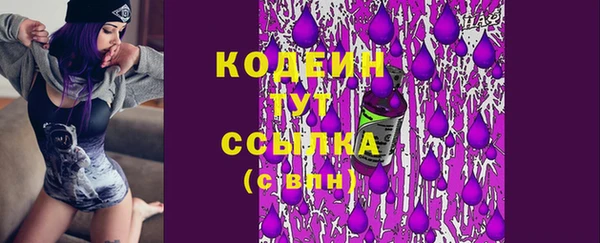 PSILOCYBIN Горняк