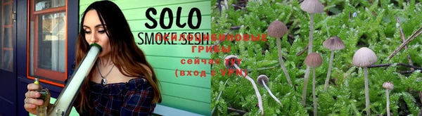PSILOCYBIN Горняк