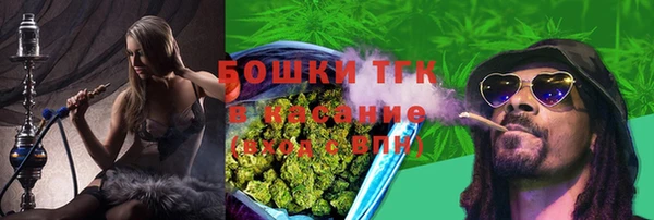 PSILOCYBIN Горняк