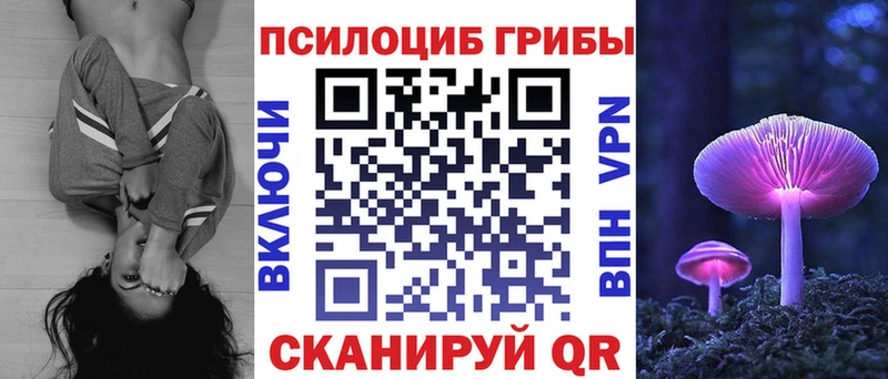 Галлюциногенные грибы Cubensis  Купить где  Аша 